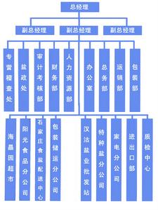 防禦型戰略組織