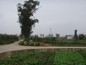 廟坡腳村的進村道路