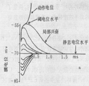 生理刺激