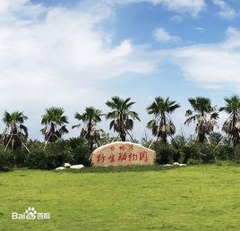 台州灣野生動物園