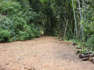 那丙田自然村