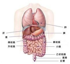 結直腸腫瘤