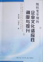 《組織變革期的企業文化適應性測度與提升》