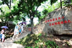 縉雲登山公園