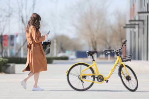 ofo Curve