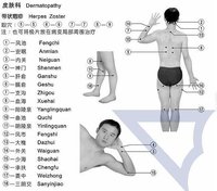 膈俞穴