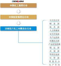 濟南裕興化工有限責任公司