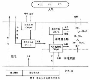 生物地球化學循環