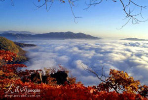 老禿頂山雲海