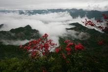 峽谷雲海