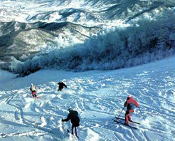 （圖）朱雀山滑雪場