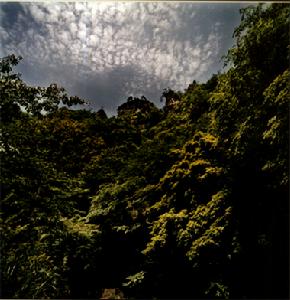 龍架山國家森林公園