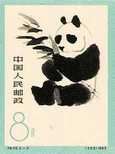 特59（3-3）熊貓