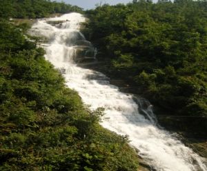 長坪鄉[江西吉安井崗山市]