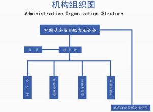 中國社會福利基金會組織架構