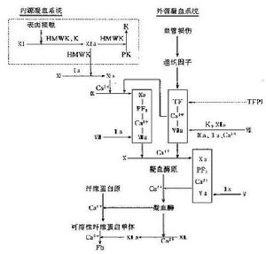 臨床基礎檢驗學