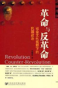 革命與反革命[王奇生所著書籍]