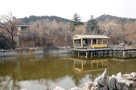 大武村[山東東營區牛莊鎮下轄村]