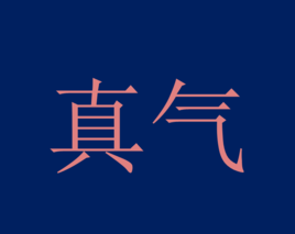 真氣[中醫術語]