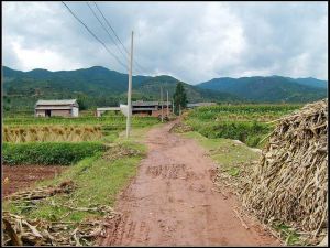 西河上莊子村