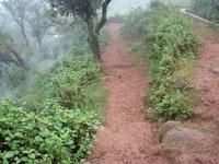 青龍下村進村道路