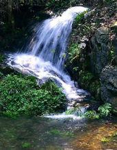 花岩溪國家森林公園