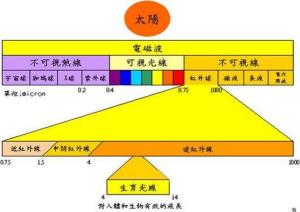 網路傳輸介質