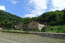 山溪村[福建省南安市洪梅鎮下轄村]