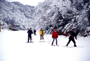 金佛山風景名勝區