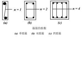 雙支箍