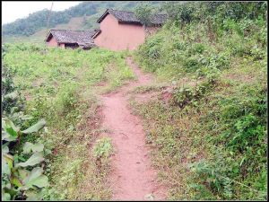 進村道路