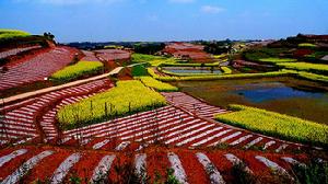 天宮廟村的紅土