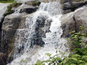 大連銀石灘國家森林公園 