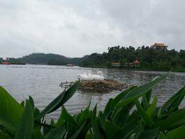 鴛鴦湖公園景區