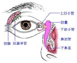 溢淚症