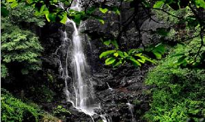 江西聖井山風景區