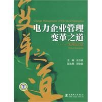 《電力企業管理變革之道》