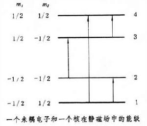 電子-核雙共振