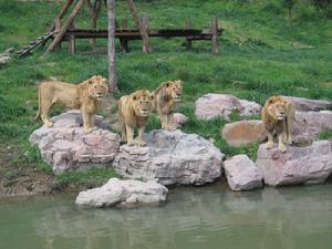 動物園