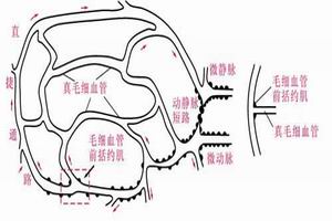 過敏性休克