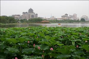 北京蓮花池