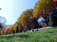 翠華山絢麗秋景