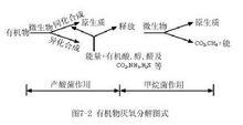 分解生物