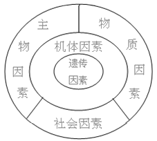 醫學生態學