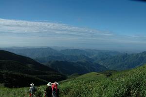 百里龍山國家森林公園