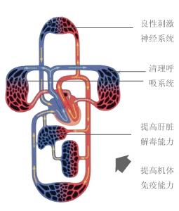 漢草