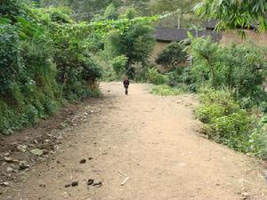 筍沛窪村通村道路