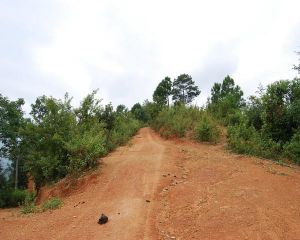 平路自然村