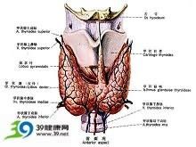 地方性甲狀腺腫