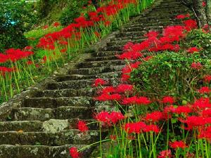 南華山國家森林公園